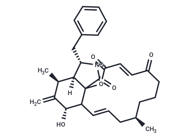 Cytochalasin A