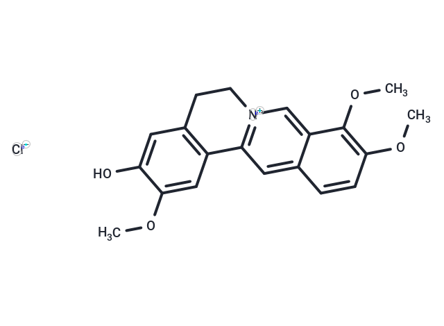 Jatrorrhizine chloride