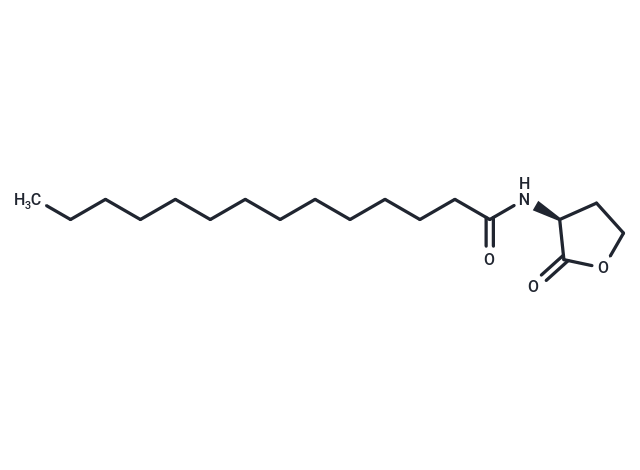 N-tetradecanoyl-L-Homoserine lactone