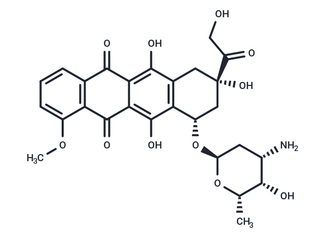 Doxorubicin