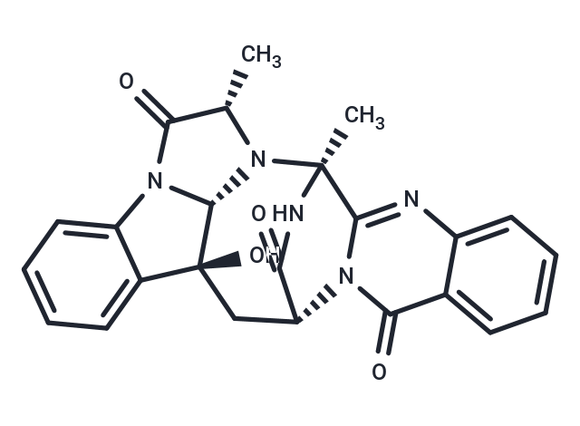 Fumiquinazoline D