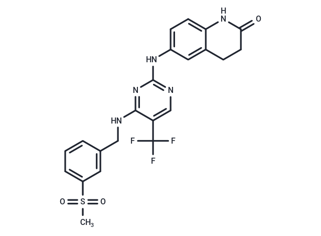 PF-573228