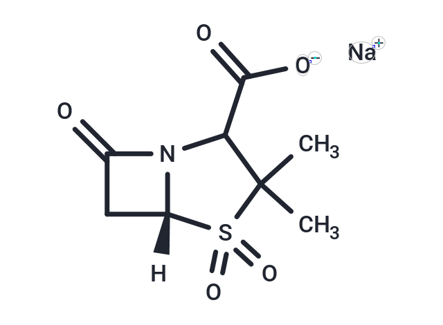 Sulbactam