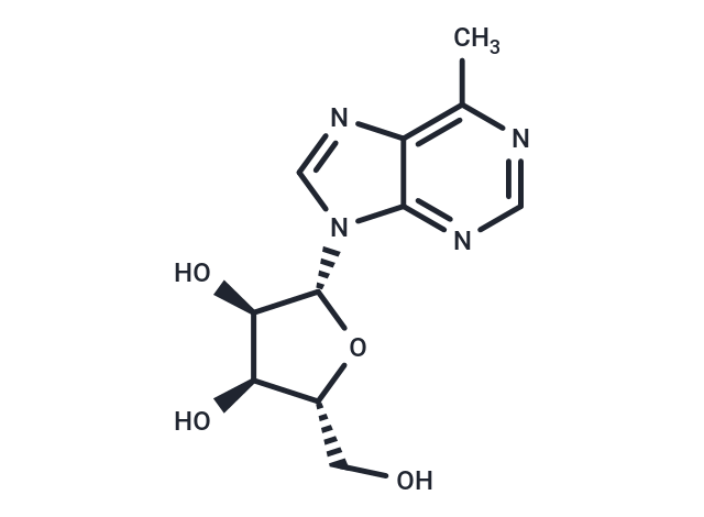 6-MPR