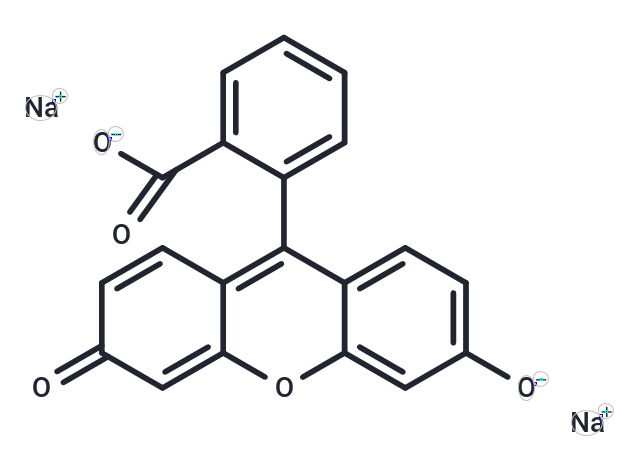 Fluorescein Sodium [518-47-8]