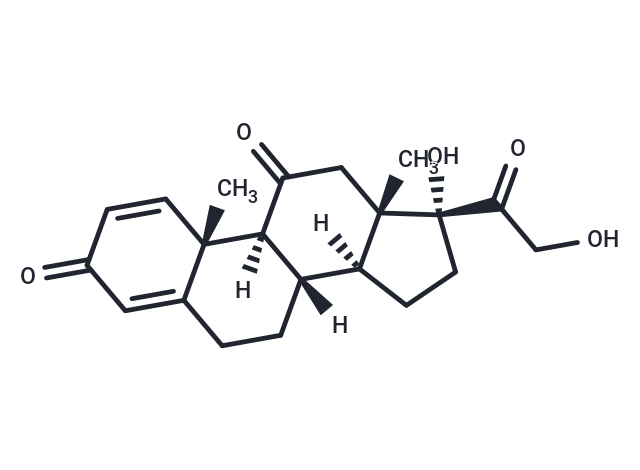 Prednisone