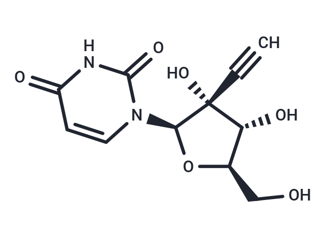 2’-beta-C-Ethynyluridine