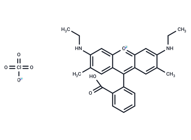 Rhodamine 19 perchlorate