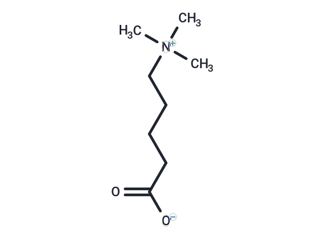 delta-Valerobetaine