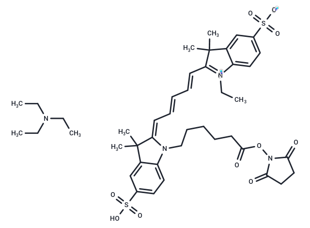 CY5-SE triethylamine salt