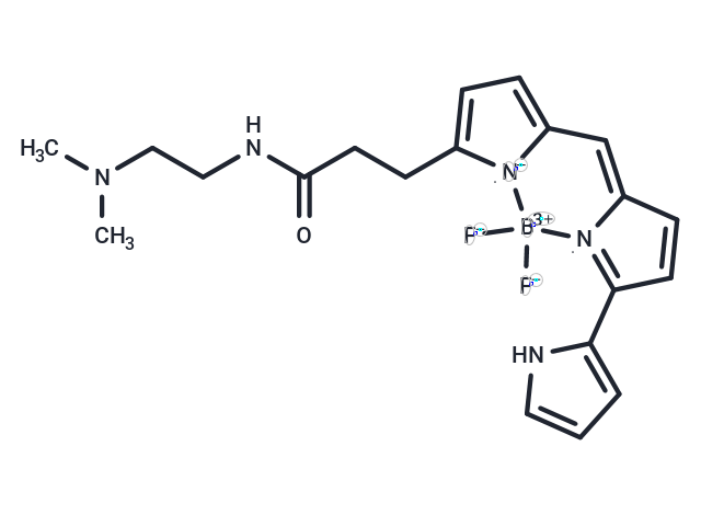 LysoTracker Red