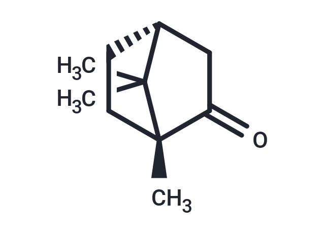 (+)-Camphor