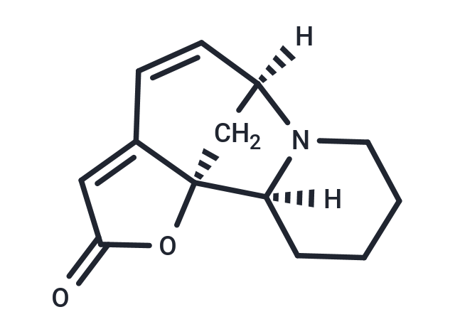 Allosecurinine