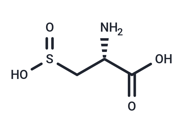 L-Cysteinesulfinic acid