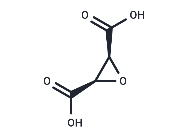 cis-Epoxysuccinic acid