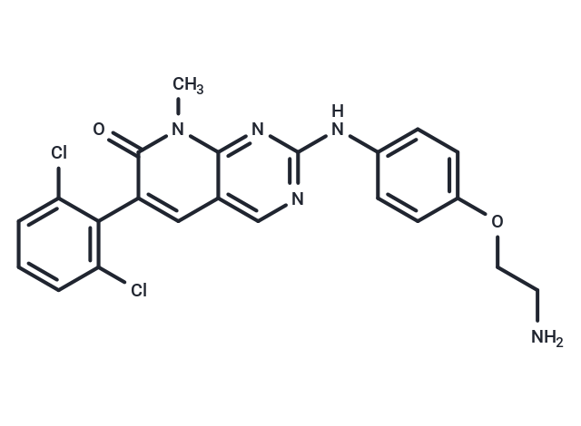 PP58