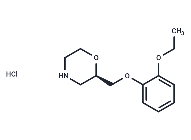 (R)-Viloxazine Hydrochloride