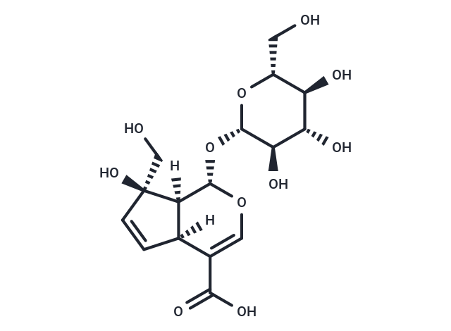 Monotropein