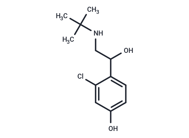 HOKU-81