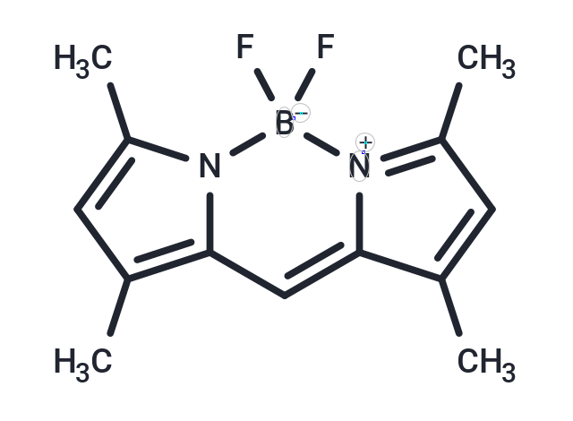 BODIPY 505/515