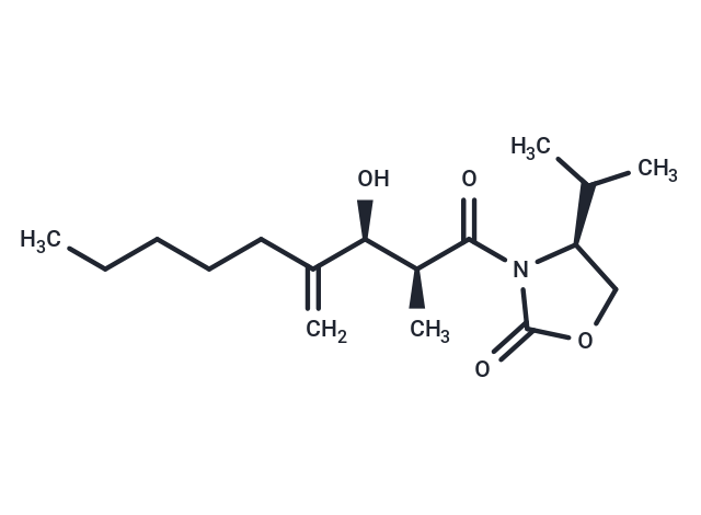 LMT-28