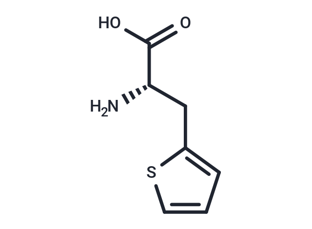 (S)-2-Amino-3-(thiophen-2-yl)propanoic acid