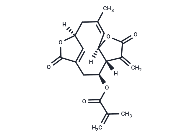 Isodeoxyelephantopin