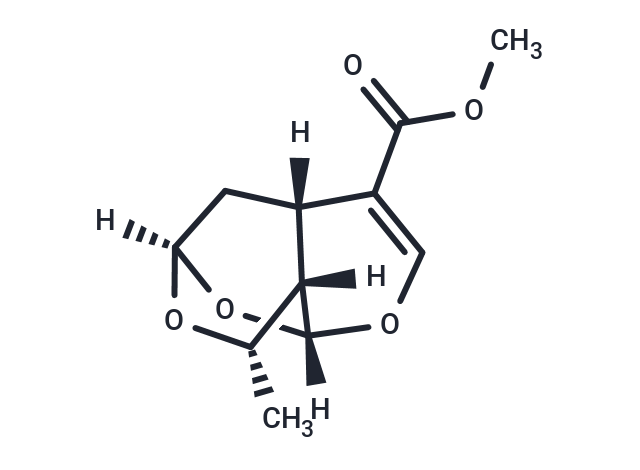 Sarracenin