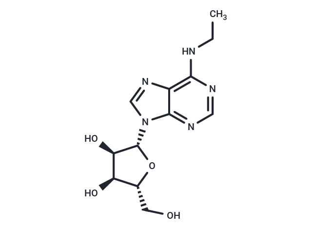 N6-Ethyladenosine