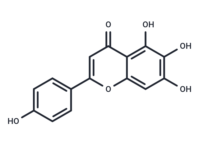 Scutellarein