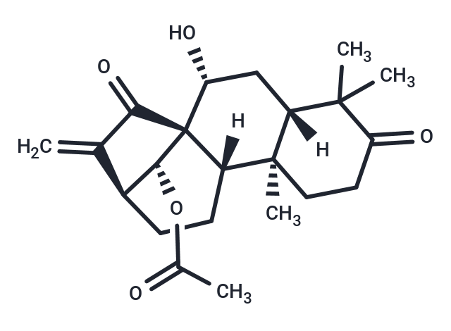 Glaucocalyxin B