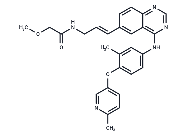 CP-724714