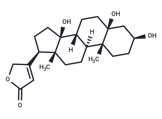 Periplogenin