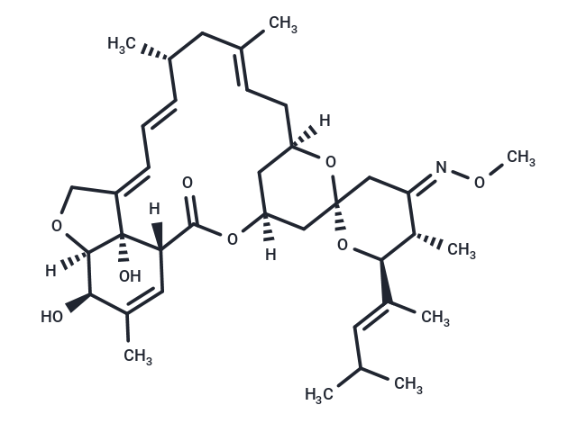 Moxidectin