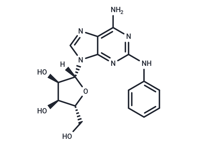 CV1808