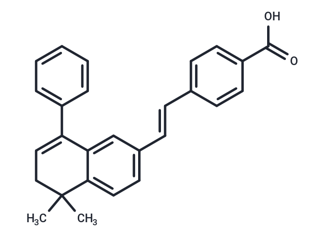 BMS453