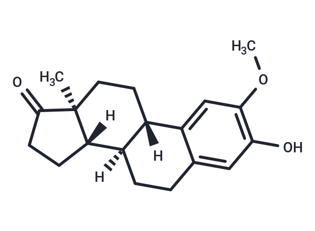 2-Methoxyestrone