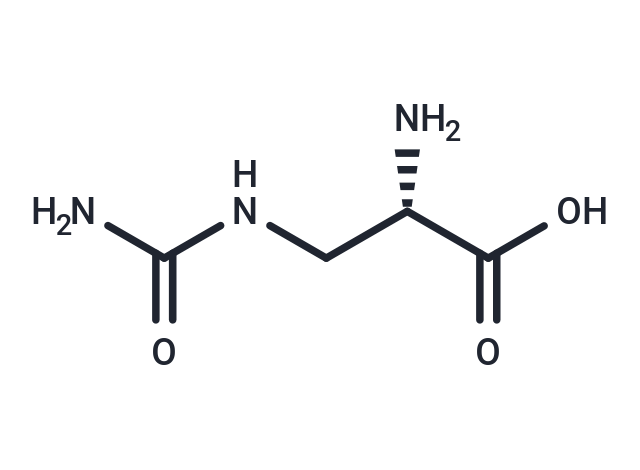 L-Albizziin