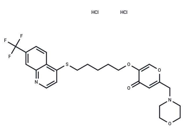 EHT 1864