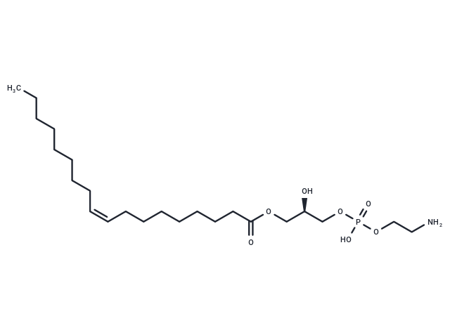 PE(18:1(9Z)/0:0)