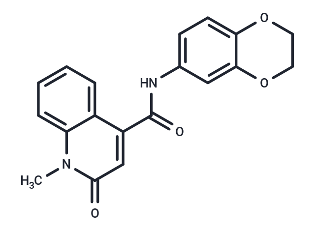 CeMMEC13