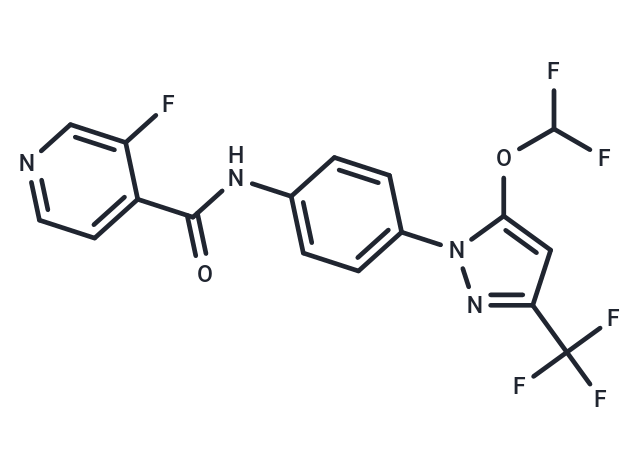 NFAT Transcription Factor Regulator-1