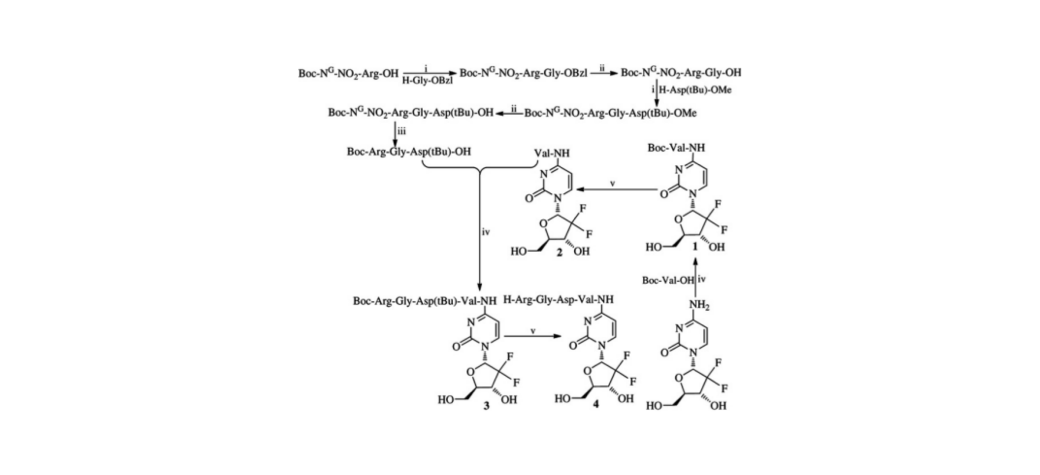 WIKIMOLE—Gemcitabine