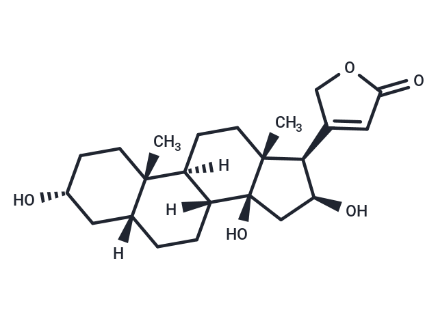 3-Epigitoxigenin