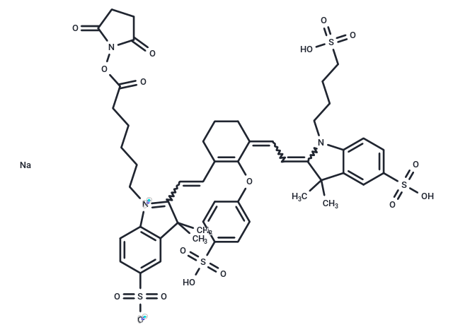 800CW NHS ester