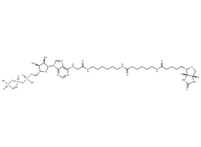 Bio-17-ATP