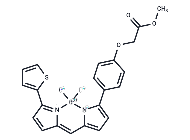 BODIPY TR methyl ester