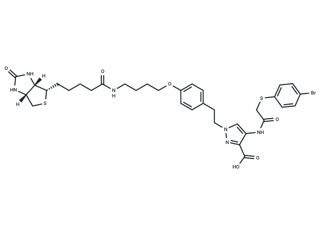 Biotin-tagged KR-33493