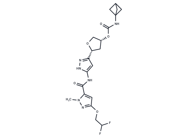 CDK2-IN-26