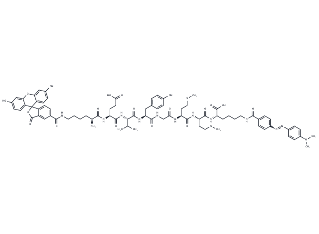 Calpain-1 substrate, fluorogenic